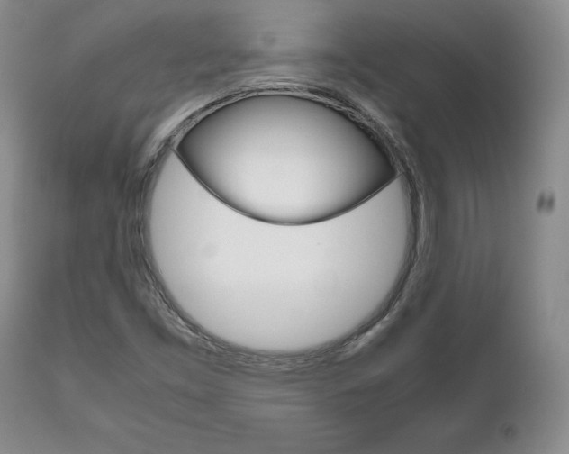 X0000111121453200906301031