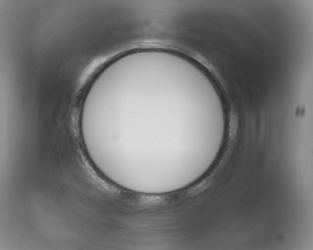 X0000111121454200906301031