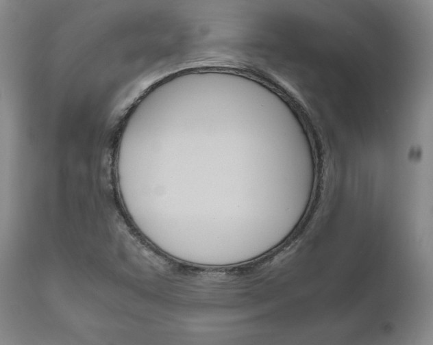 X0000111121455200906301031