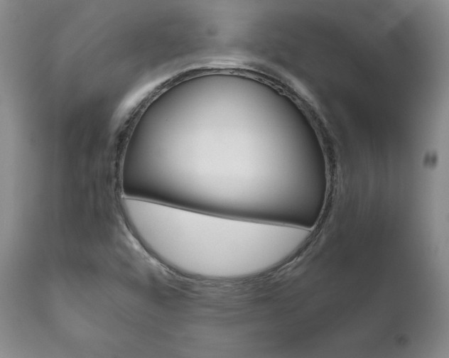 X0000111121456200906301031