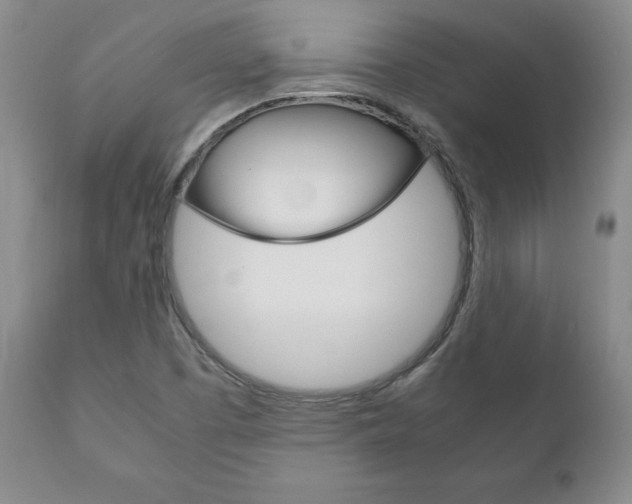 X0000111121457200906301031