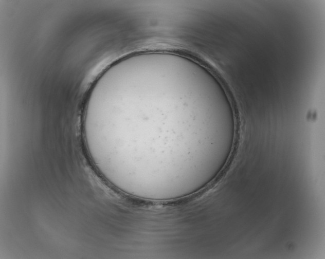 X0000111121459200906301030