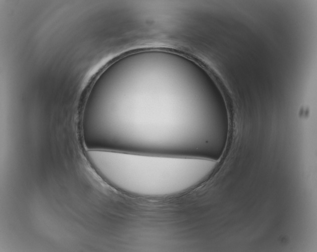 X0000111121460200906301030