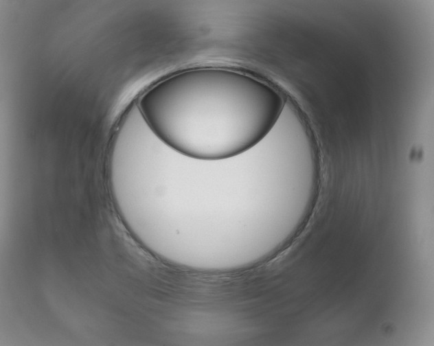 X0000111121461200906301030