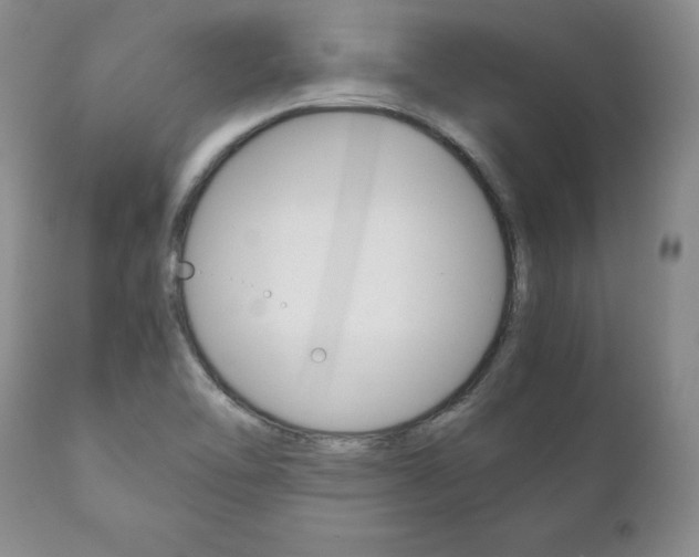 X0000111121462200906301030