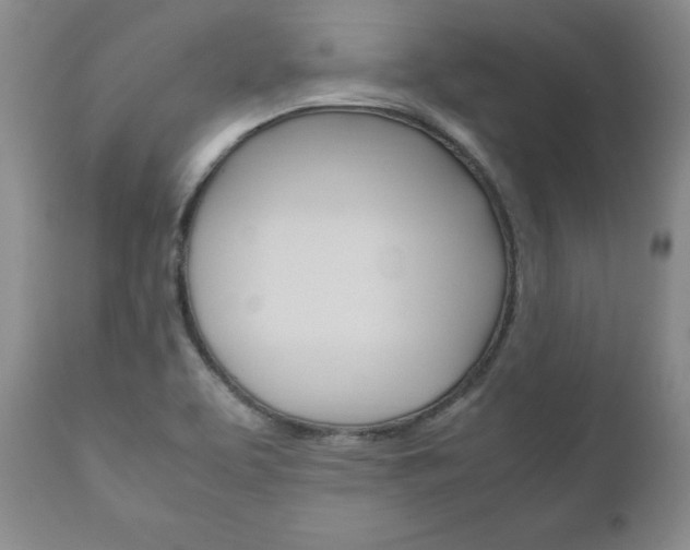 X0000111121463200906301030