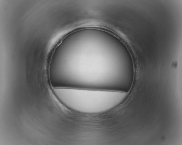 X0000111121464200906301030