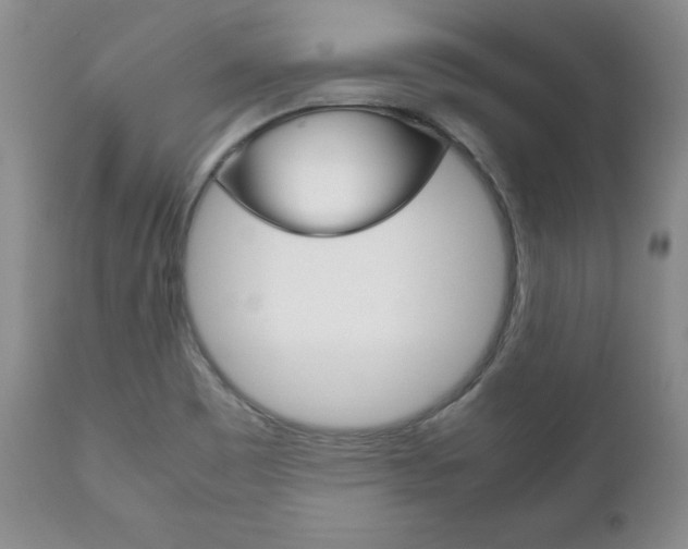 X0000111121465200906301030