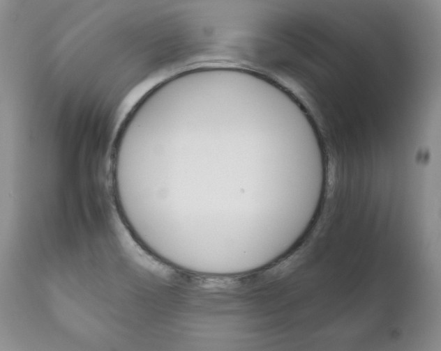 X0000111121466200906301030