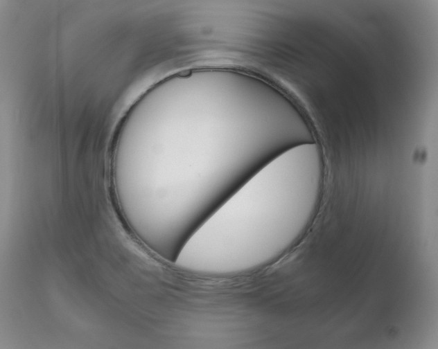 X0000111121467200906301030