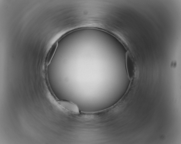 X0000111121468200906301030