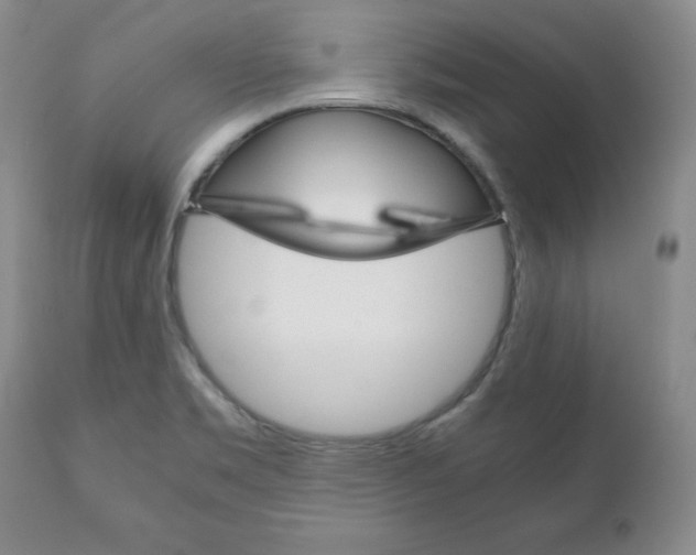 X0000111121469200906301030