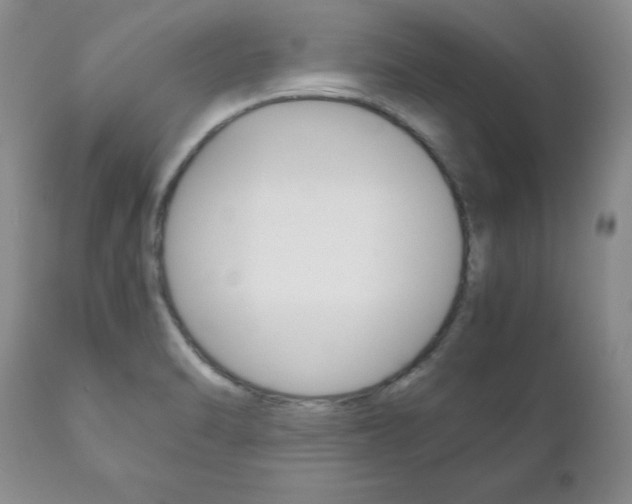 X0000111121470200906301030