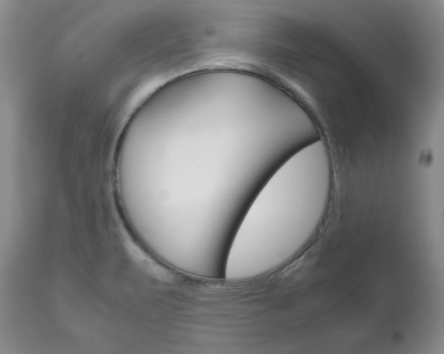 X0000111121471200906301030