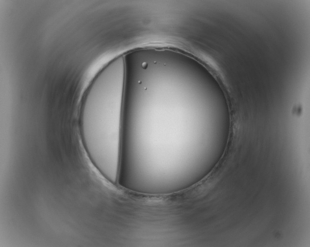 X0000111121472200906301030