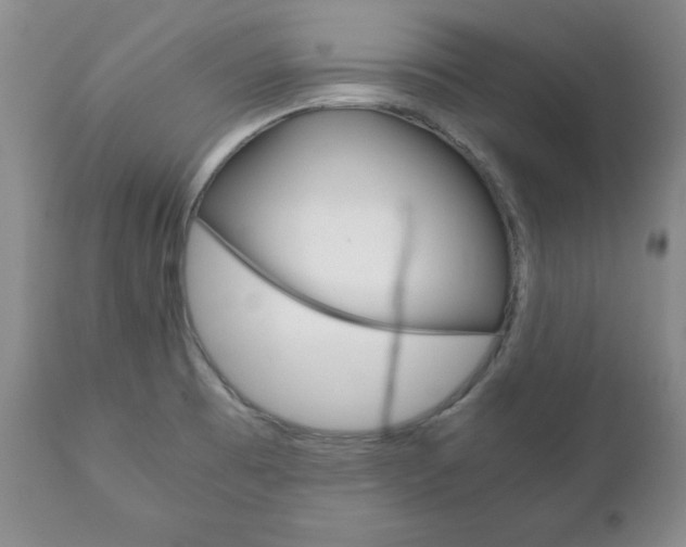 X0000111121473200906301030