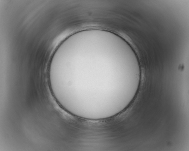 X0000111121474200906301030