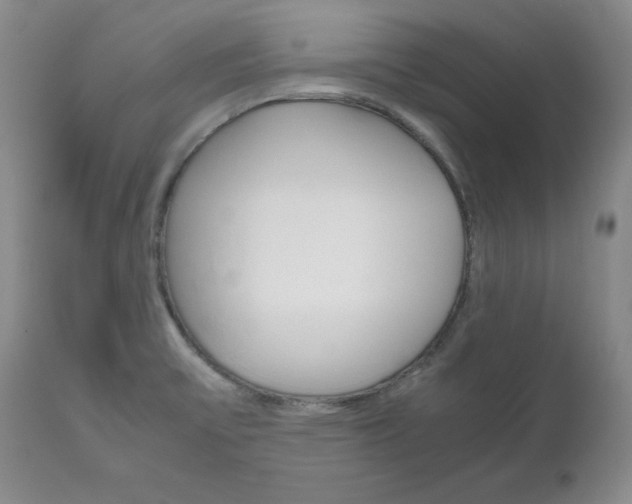 X0000111121475200906301030