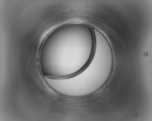 X0000111121477200906301030
