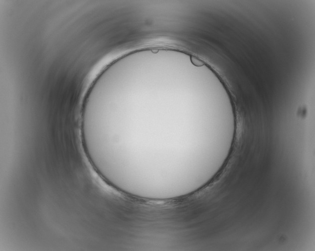 X0000111121478200906301030