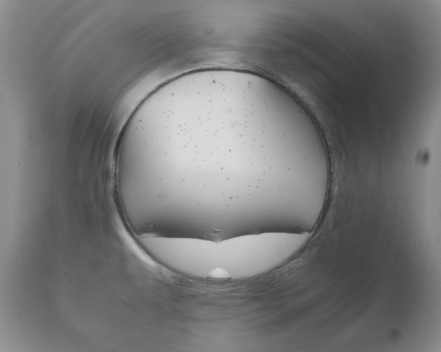 X0000111121479200906301030