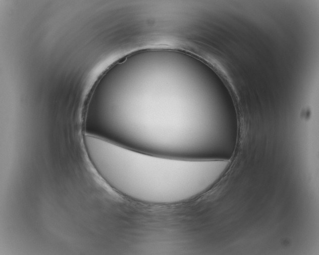 X0000111121480200906301030