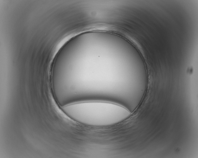 X0000111121483200906301030