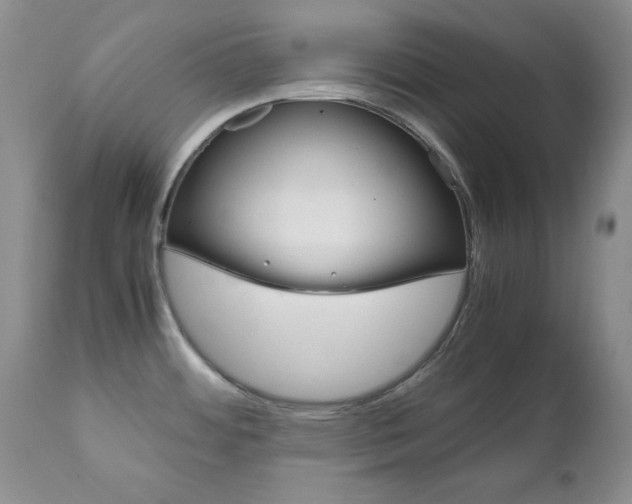 X0000111121484200906301030