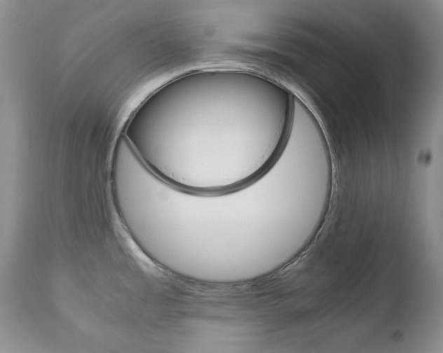 X0000111121485200906301030
