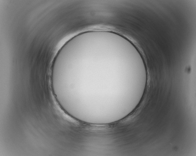 X0000111121486200906301030