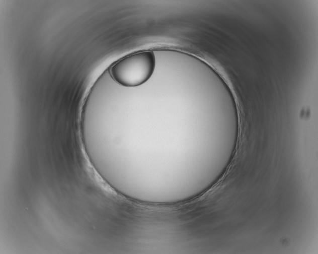 X0000111121488200906301030