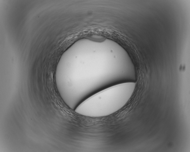 X0000111121489200906301029