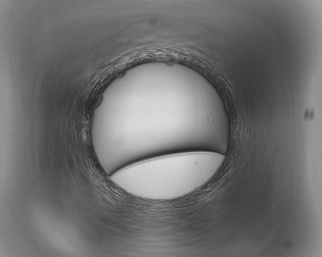X0000111121490200906301029