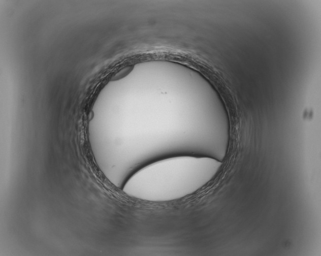 X0000111121493200906301029