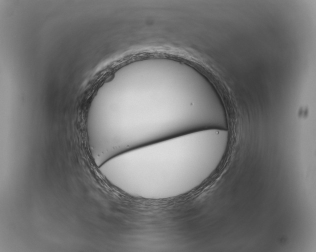 X0000111121494200906301030