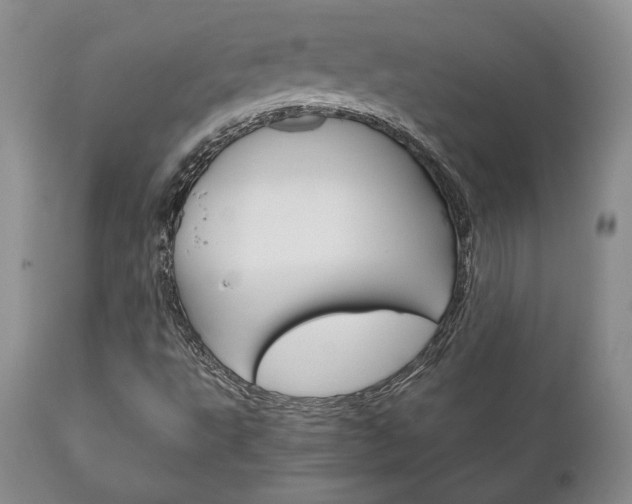 X0000111121495200906301030