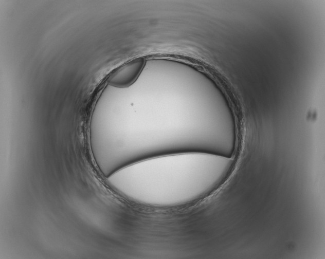 X0000111121497200906301030