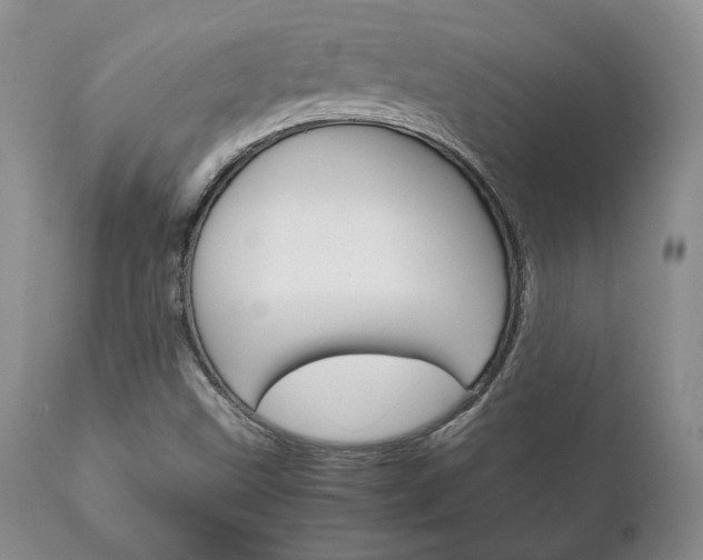 X0000111121499200906301030