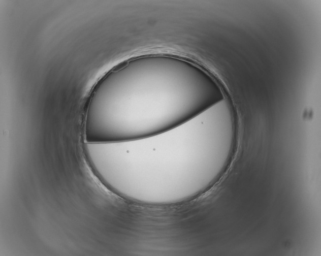 X0000111121500200906301030