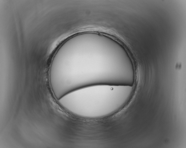 X0000111121501200906301030