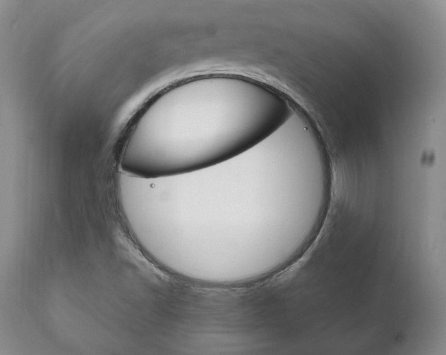 X0000111121502200906301030