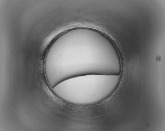X0000111121503200906301030