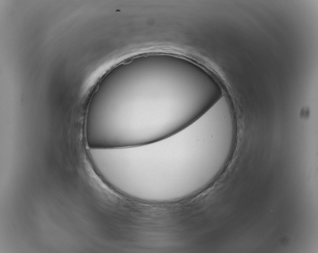 X0000111121504200906301030