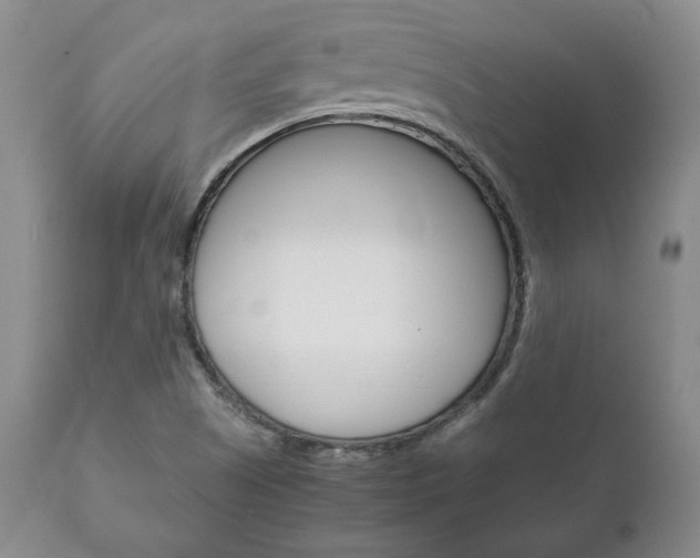 X0000111121505200906301030