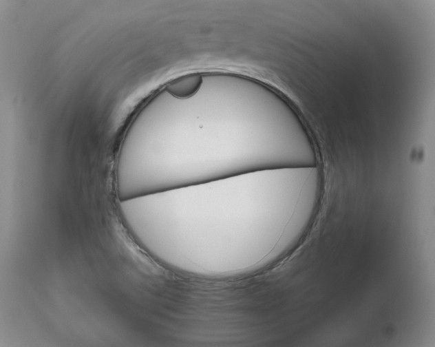 X0000111121507200906301030