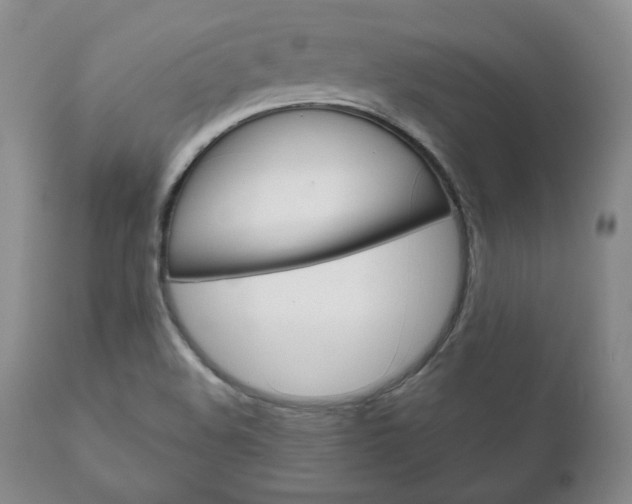 X0000111121508200906301030