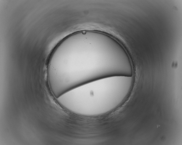 X0000111121509200906301030