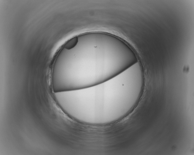 X0000111121510200906301030