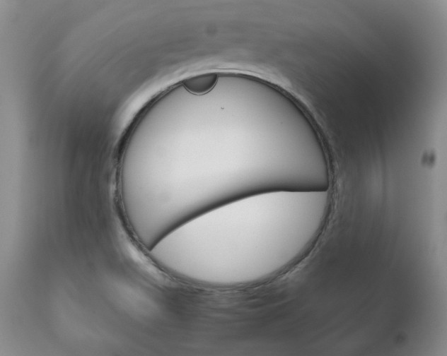 X0000111121511200906301030