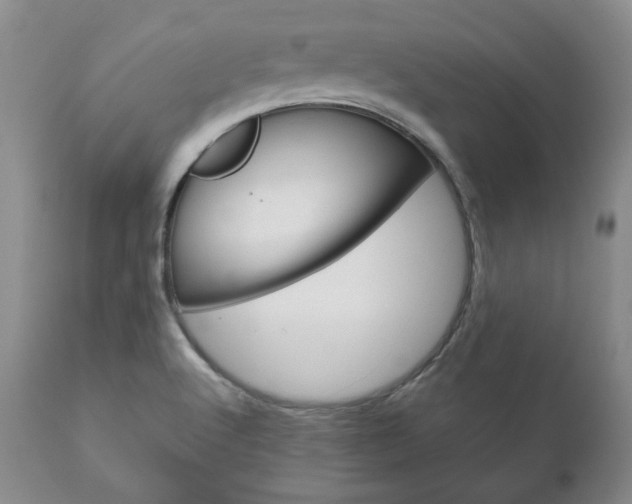 X0000111121512200906301030
